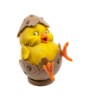 Pasqua